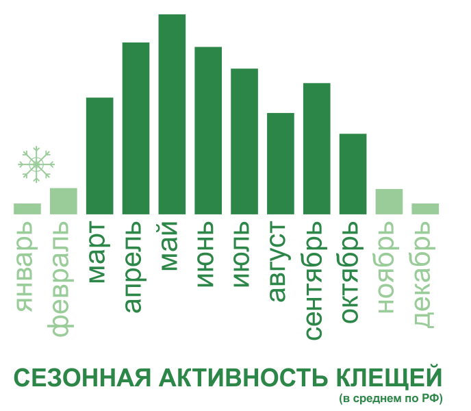 Акарицидная обработка от клещей территории и участков в Новосибирске. Цены